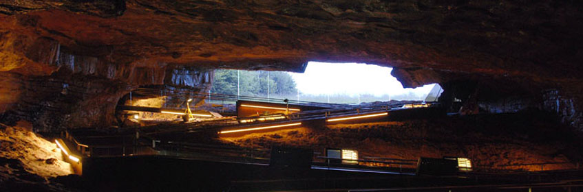 Museo de Altamira, encanto de las cuevas